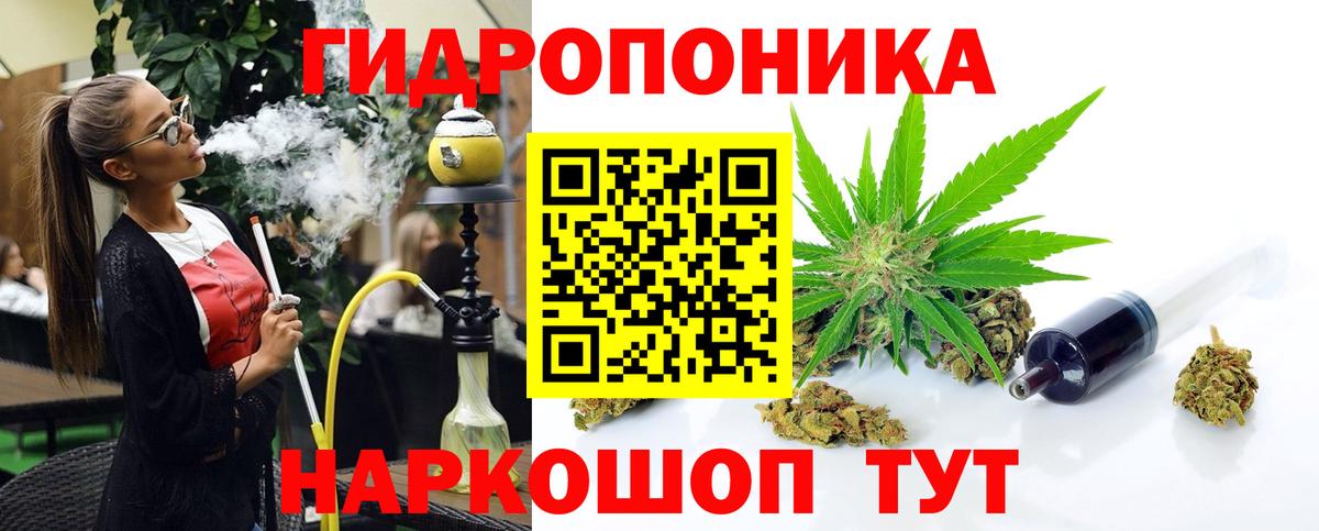 Саранск  Шишки марихуана план  Конопля OG Kush  Вход с VPN  Конопля White Widow  Шишки марихуана Bruce Banner 